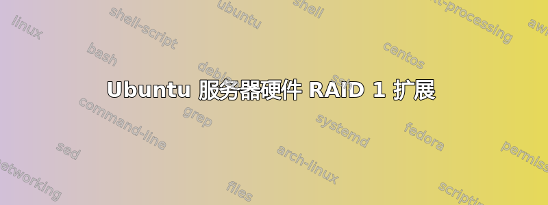 Ubuntu 服务器硬件 RAID 1 扩展