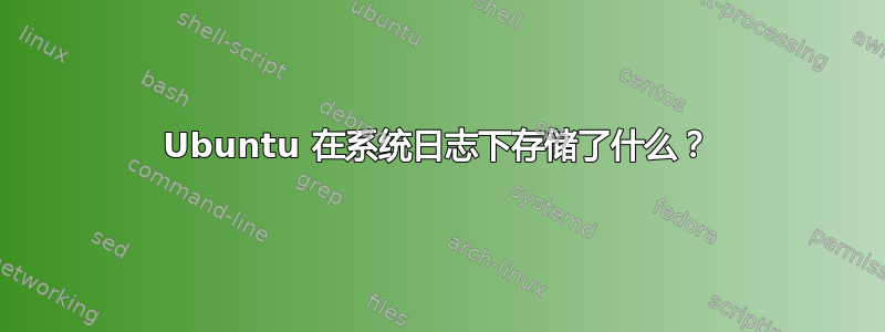 Ubuntu 在系统日志下存储了什么？