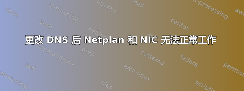 更改 DNS 后 Netplan 和 NIC 无法正常工作