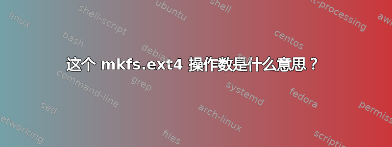 这个 mkfs.ext4 操作数是什么意思？