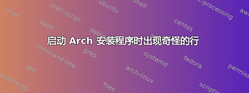 启动 Arch 安装程序时出现奇怪的行