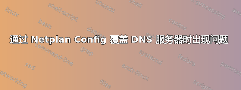 通过 Netplan Config 覆盖 DNS 服务器时出现问题