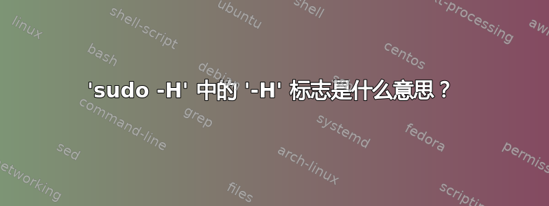 'sudo -H' 中的 '-H' 标志是什么意思？