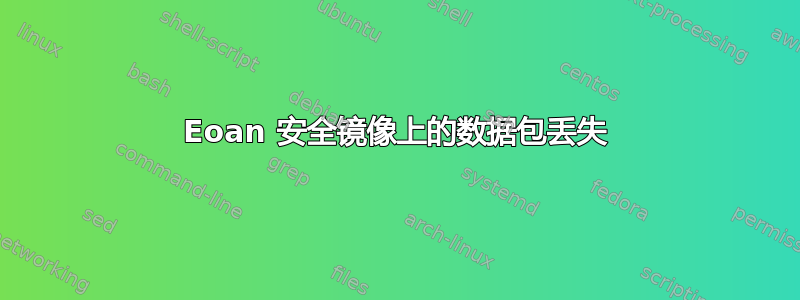 Eoan 安全镜像上的数据包丢失