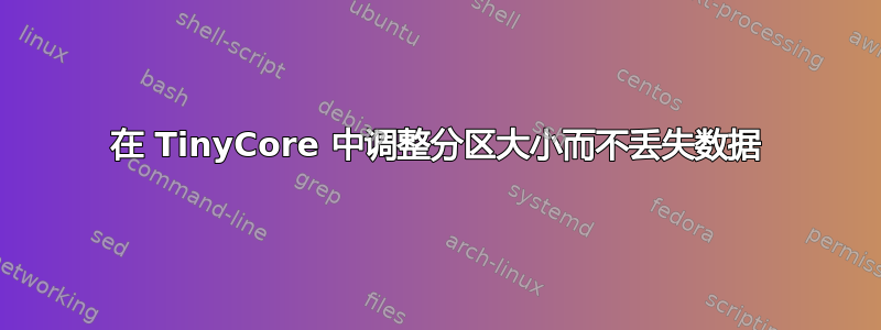 在 TinyCore 中调整分区大小而不丢失数据