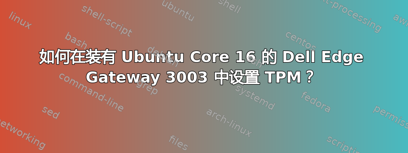 如何在装有 Ubuntu Core 16 的 Dell Edge Gateway 3003 中设置 TPM？