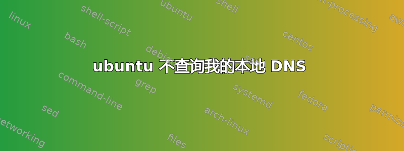 ubuntu 不查询我的本地 DNS