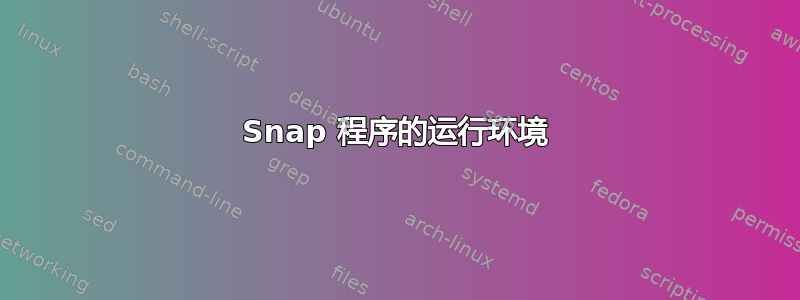 Snap 程序的运行环境