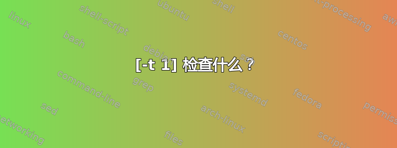 [-t 1] 检查什么？