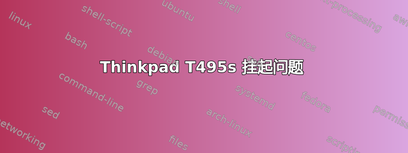 Thinkpad T495s 挂起问题