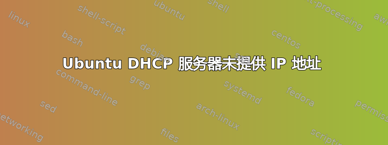 Ubuntu DHCP 服务器未提供 IP 地址