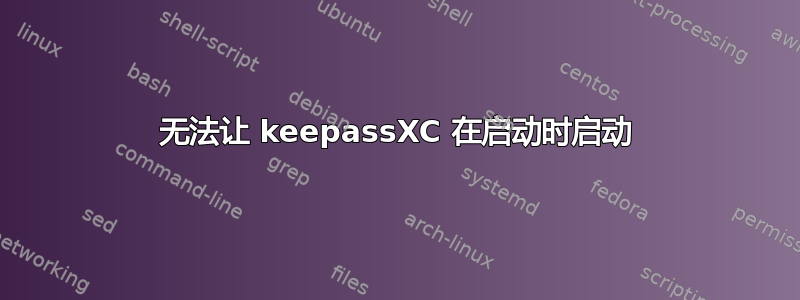 无法让 keepassXC 在启动时启动