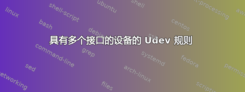 具有多个接口的设备的 Udev 规则