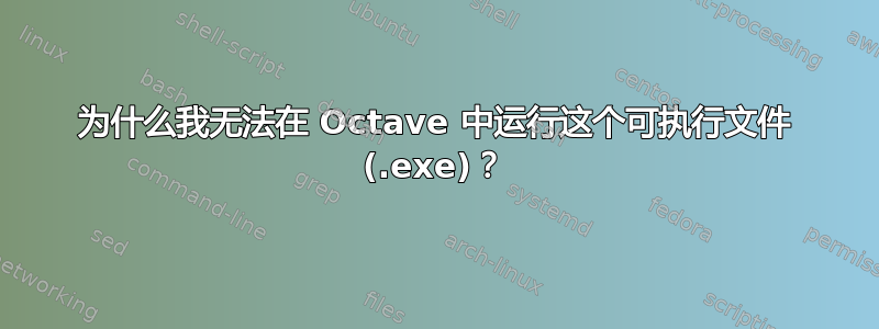 为什么我无法在 Octave 中运行这个可执行文件 (.exe)？