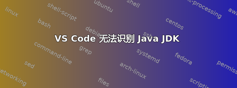 VS Code 无法识别 Java JDK