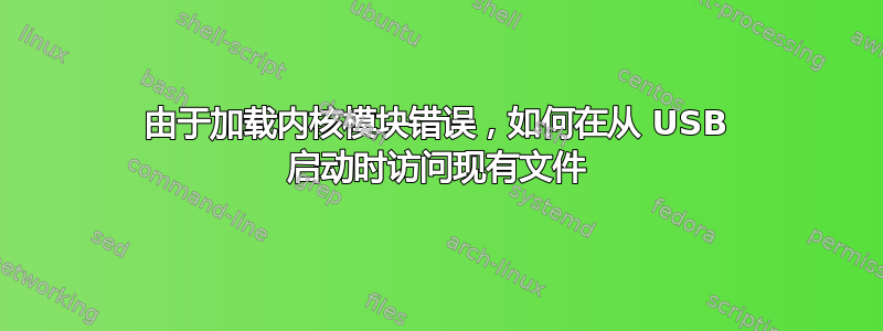 由于加载内核模块错误，如何在从 USB 启动时访问现有文件