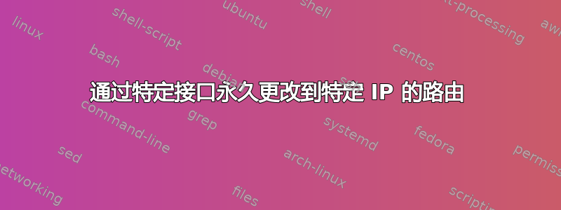 通过特定接口永久更改到特定 IP 的路由