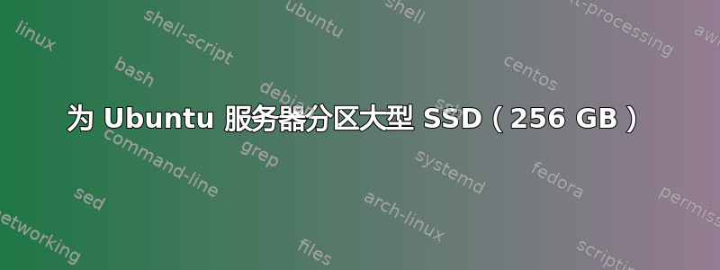 为 Ubuntu 服务器分区大型 SSD（256 GB）