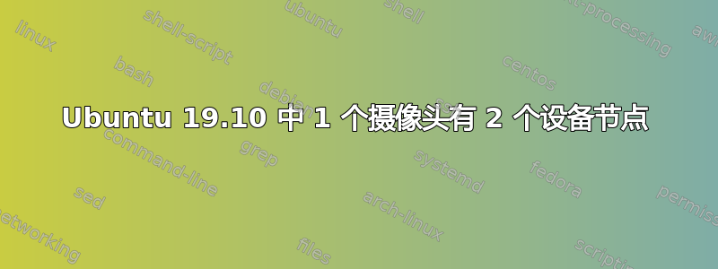 Ubuntu 19.10 中 1 个摄像头有 2 个设备节点