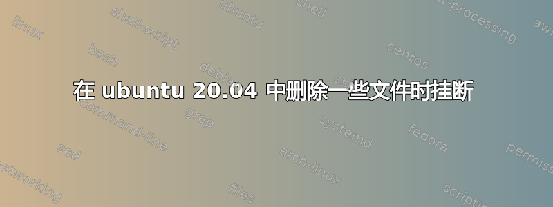 在 ubuntu 20.04 中删除一些文件时挂断