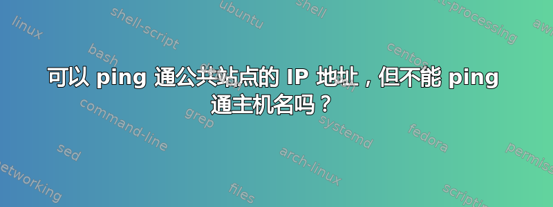 可以 ping 通公共站点的 IP 地址，但不能 ping 通主机名吗？