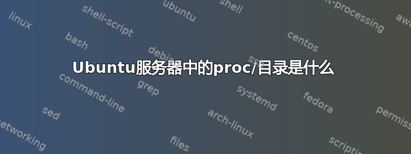 Ubuntu服务器中的proc/目录是什么