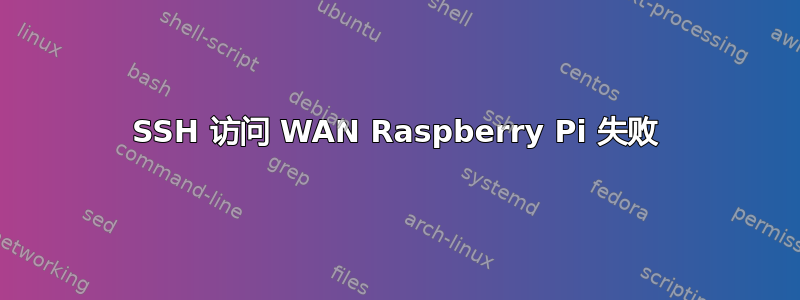 SSH 访问 WAN Raspberry Pi 失败