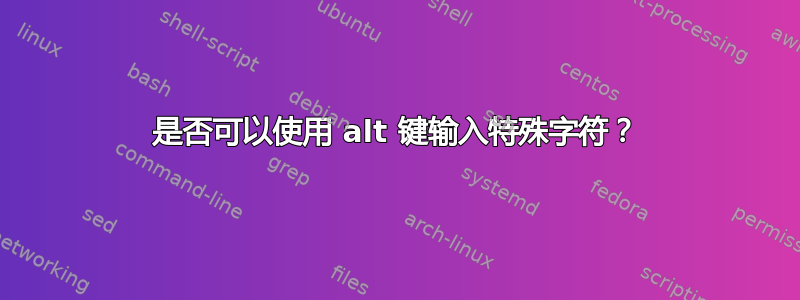 是否可以使用 alt 键输入特殊字符？