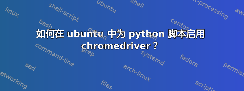 如何在 ubuntu 中为 python 脚本启用 chromedriver？