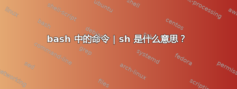 bash 中的命令 | sh 是什么意思？