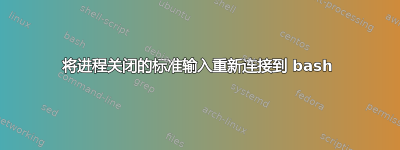 将进程关闭的标准输入重新连接到 bash