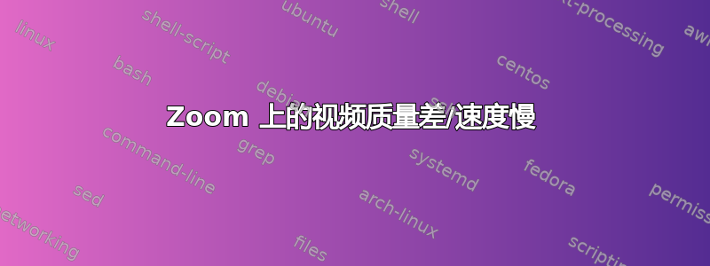 Zoom 上的视频质量差/速度慢