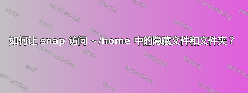 如何让 snap 访问 ~/home 中的隐藏文件和文件夹？