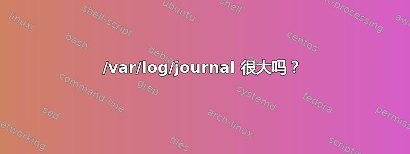 /var/log/journal 很大吗？