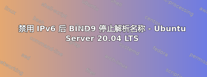 禁用 IPv6 后 BIND9 停止解析名称 - Ubuntu Server 20.04 LTS