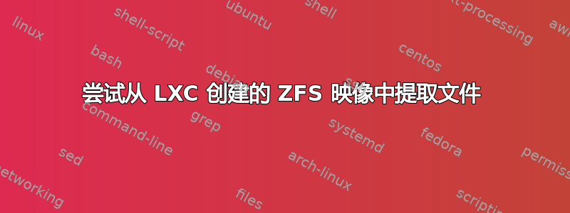 尝试从 LXC 创建的 ZFS 映像中提取文件