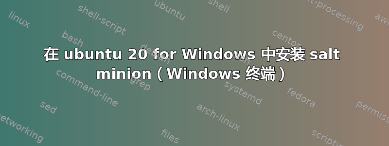 在 ubuntu 20 for Windows 中安装 salt minion（Windows 终端）