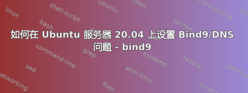 如何在 Ubuntu 服务器 20.04 上设置 Bind9/DNS 问题 - bind9