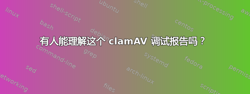 有人能理解这个 clamAV 调试报告吗？