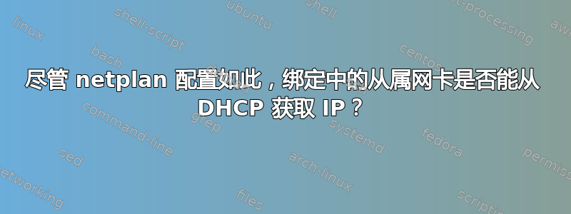 尽管 netplan 配置如此，绑定中的从属网卡是否能从 DHCP 获取 IP？