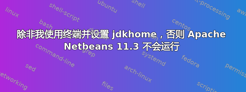 除非我使用终端并设置 jdkhome，否则 Apache Netbeans 11.3 不会运行