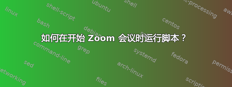 如何在开始 Zoom 会议时运行脚本？