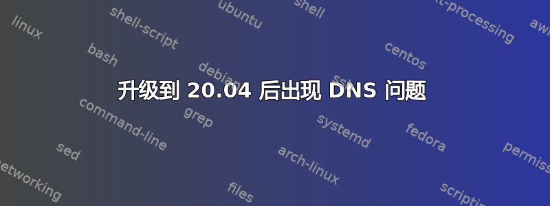 升级到 20.04 后出现 DNS 问题