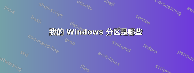 我的 Windows 分区是哪些