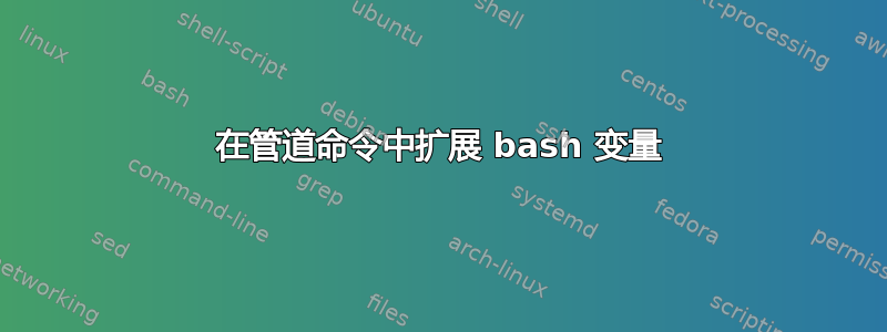 在管道命令中扩展 bash 变量