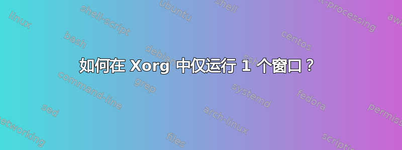 如何在 Xorg 中仅运行 1 个窗口？