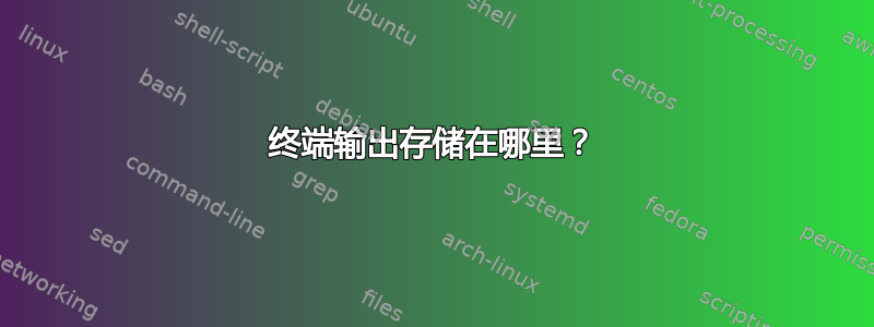 终端输出存储在哪里？