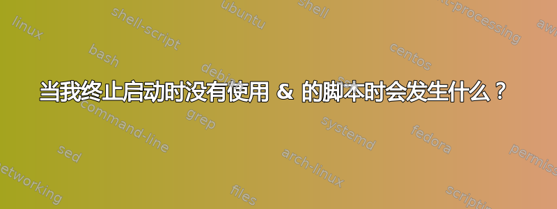 当我终止启动时没有使用 & 的脚本时会发生什么？