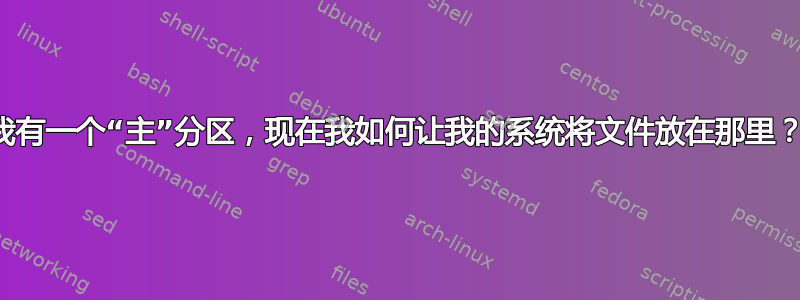 我有一个“主”分区，现在我如何让我的系统将文件放在那里？