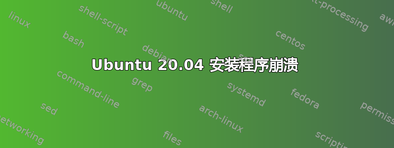 Ubuntu 20.04 安装程序崩溃